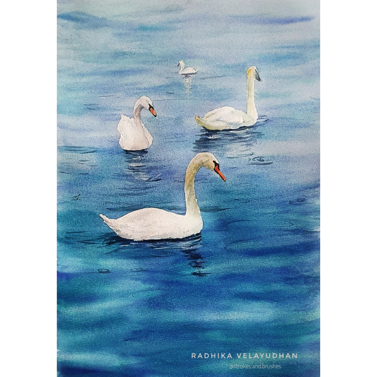 Swan lake - image 3 - student project