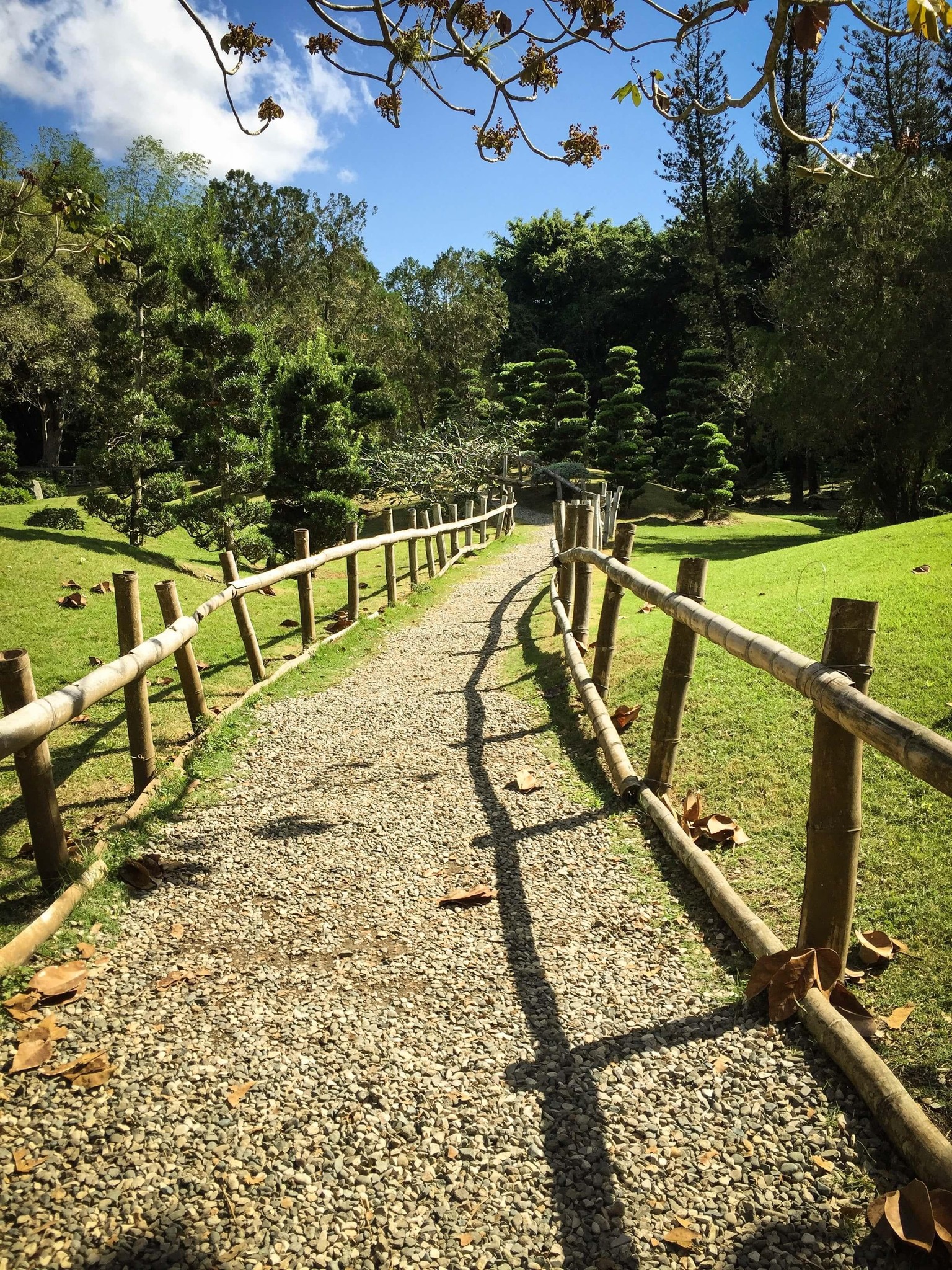 Japanese Trail - image 1 - student project