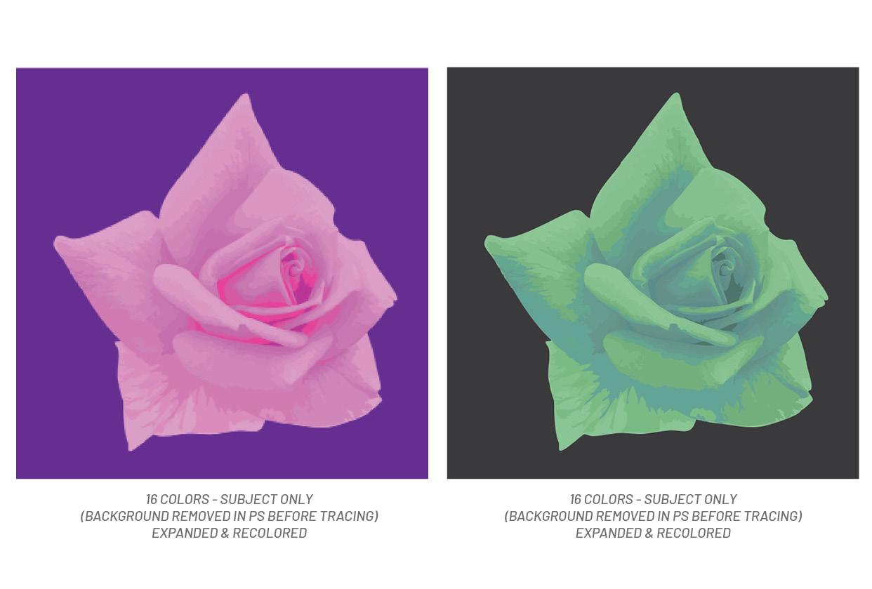 Vectorizing is fun! - image 4 - student project