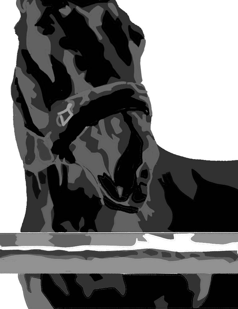 Finishing Project - image 4 - student project