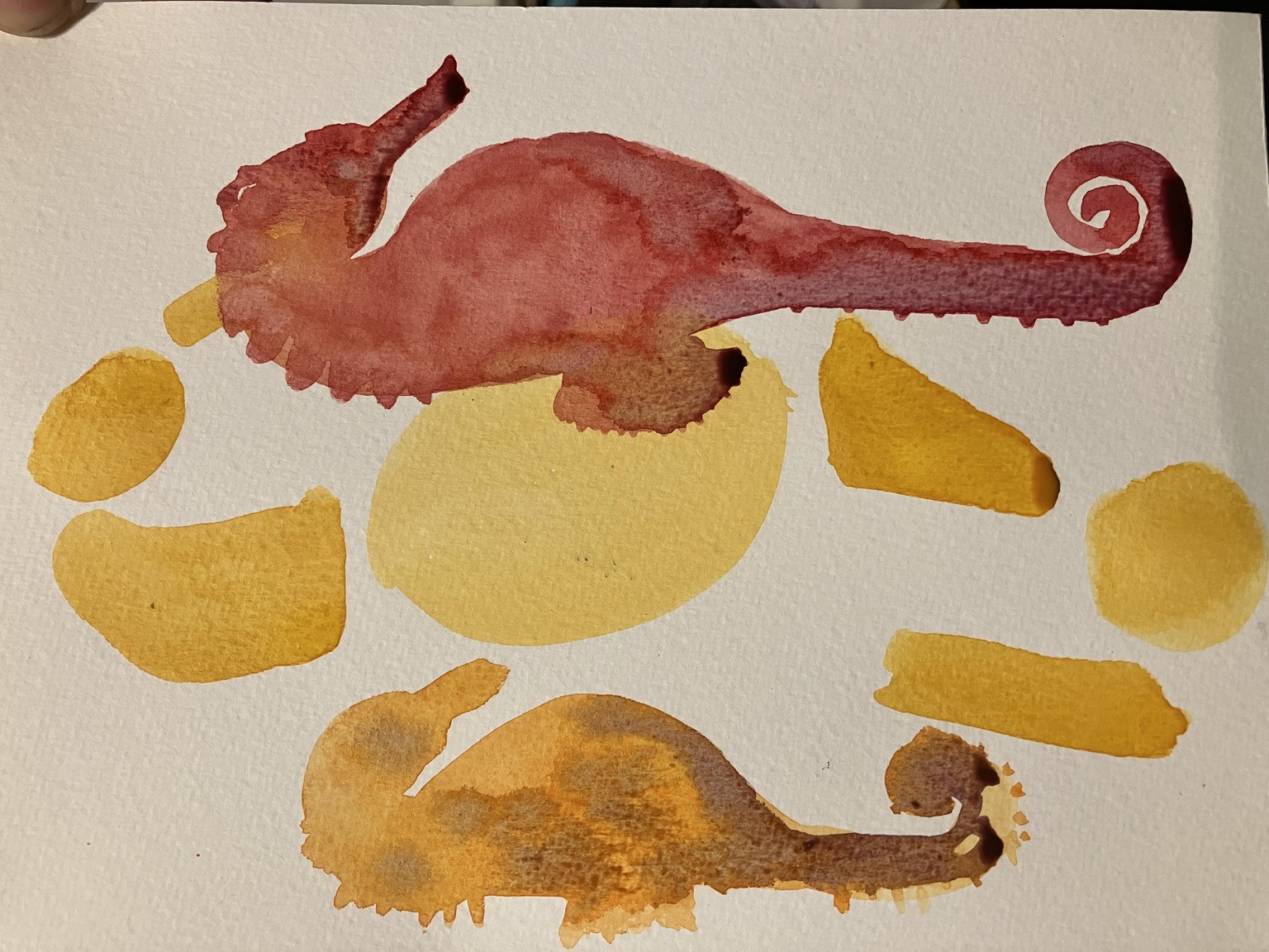 Seahorse shape project - image 1 - student project