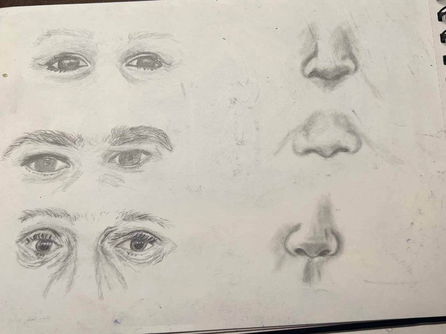 Eyes, Noses, Mouths pencil sketches - image 1 - student project