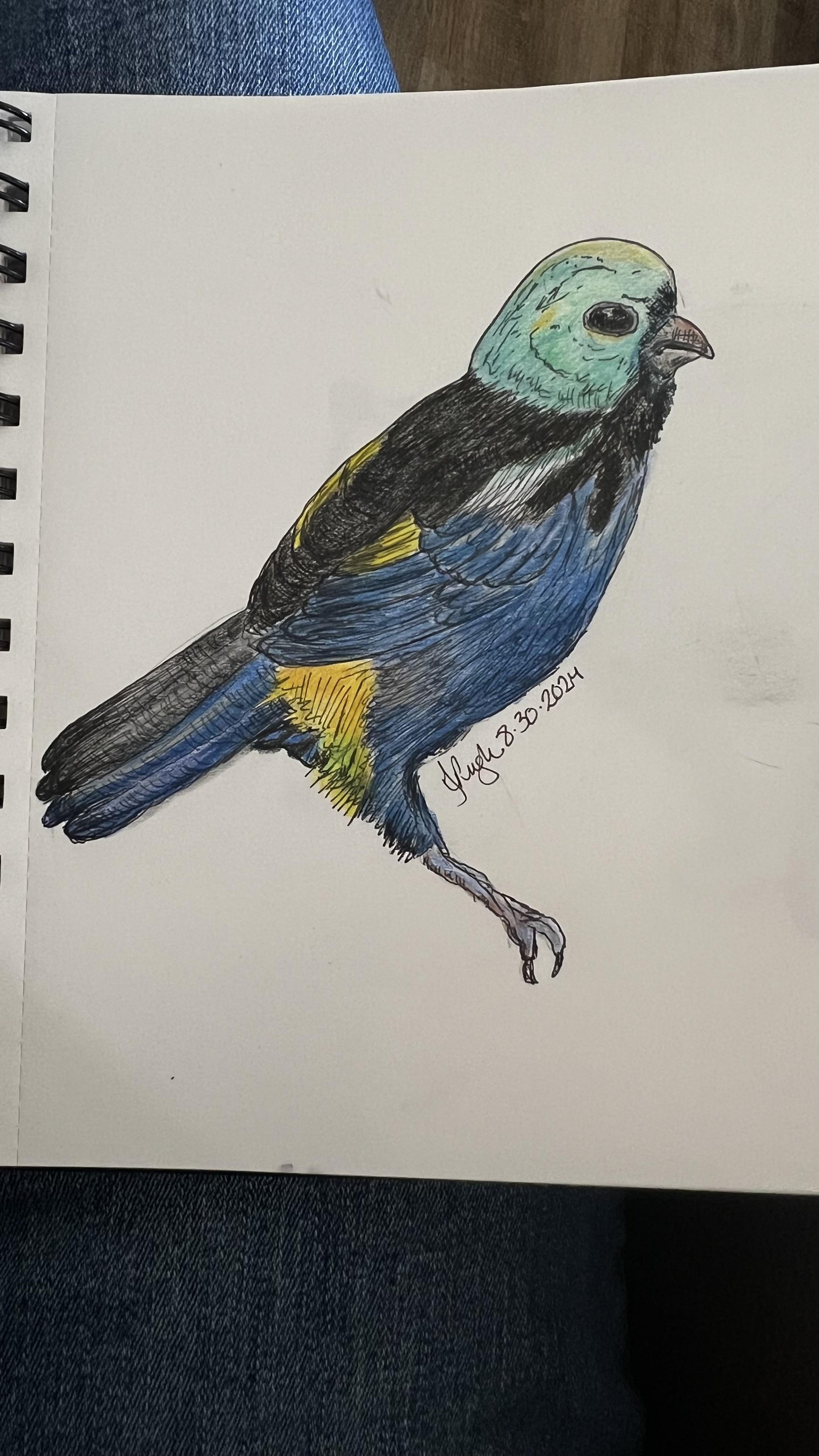 Colored pencil instead of marker - image 2 - student project