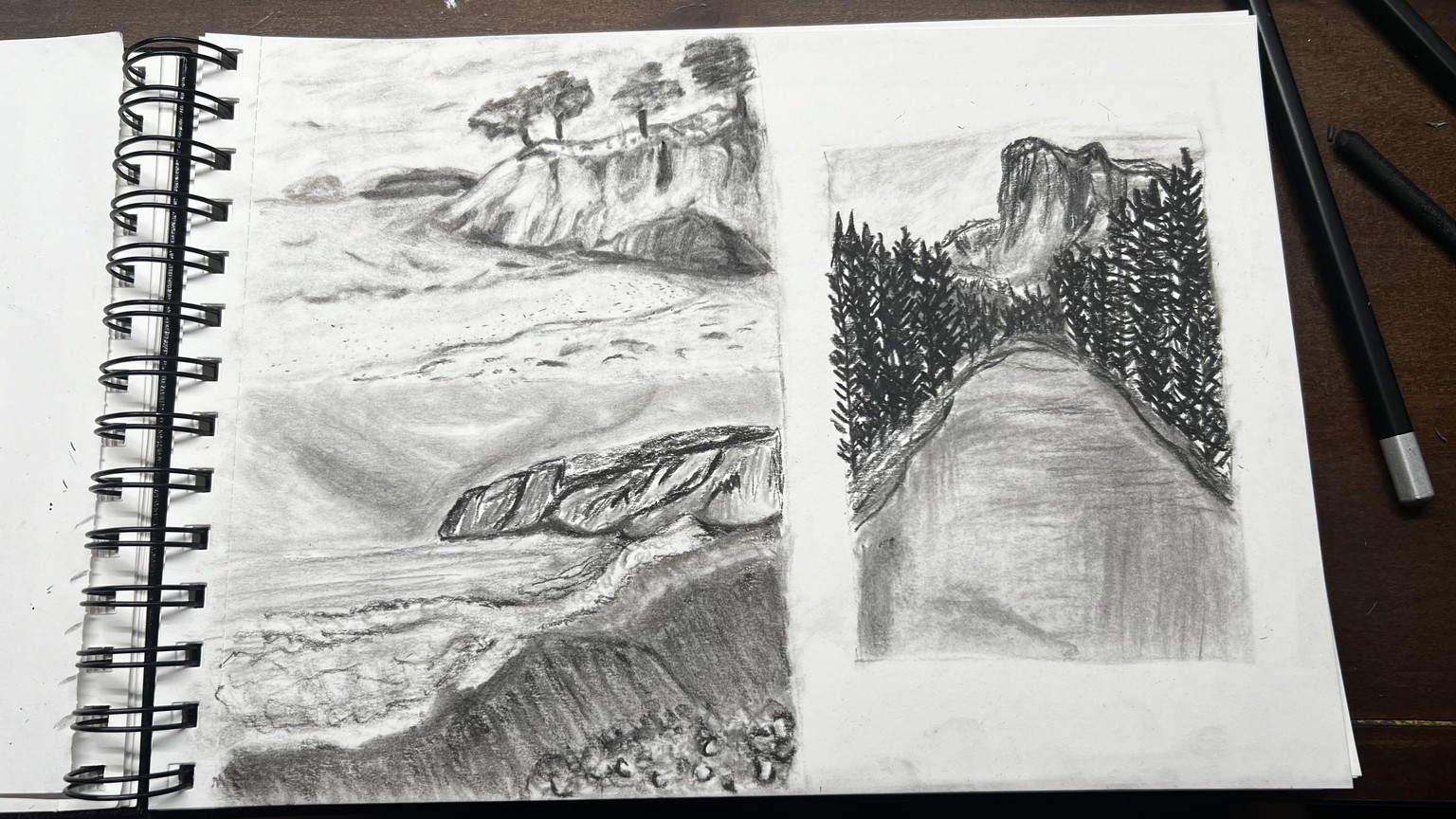Charcoal landscape sketches - image 2 - student project