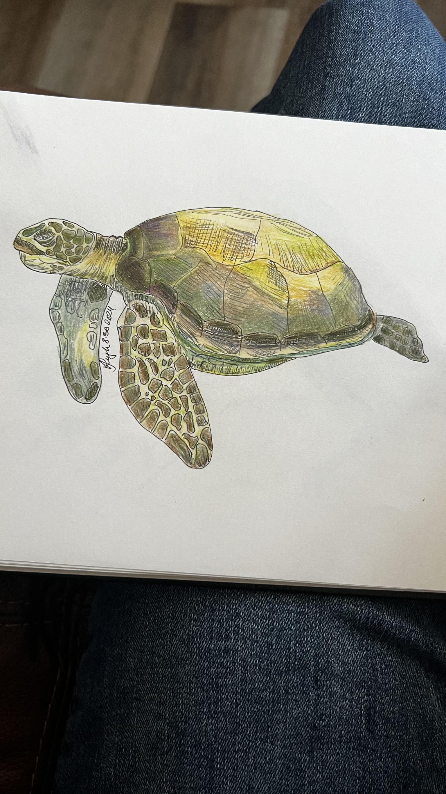 Colored pencil instead of marker - image 1 - student project