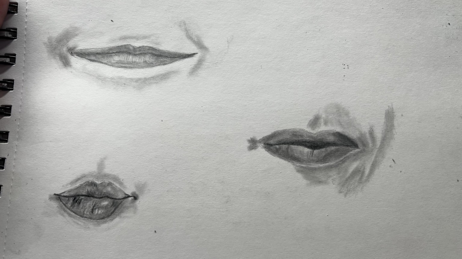 Eyes, Noses, Mouths pencil sketches - image 2 - student project