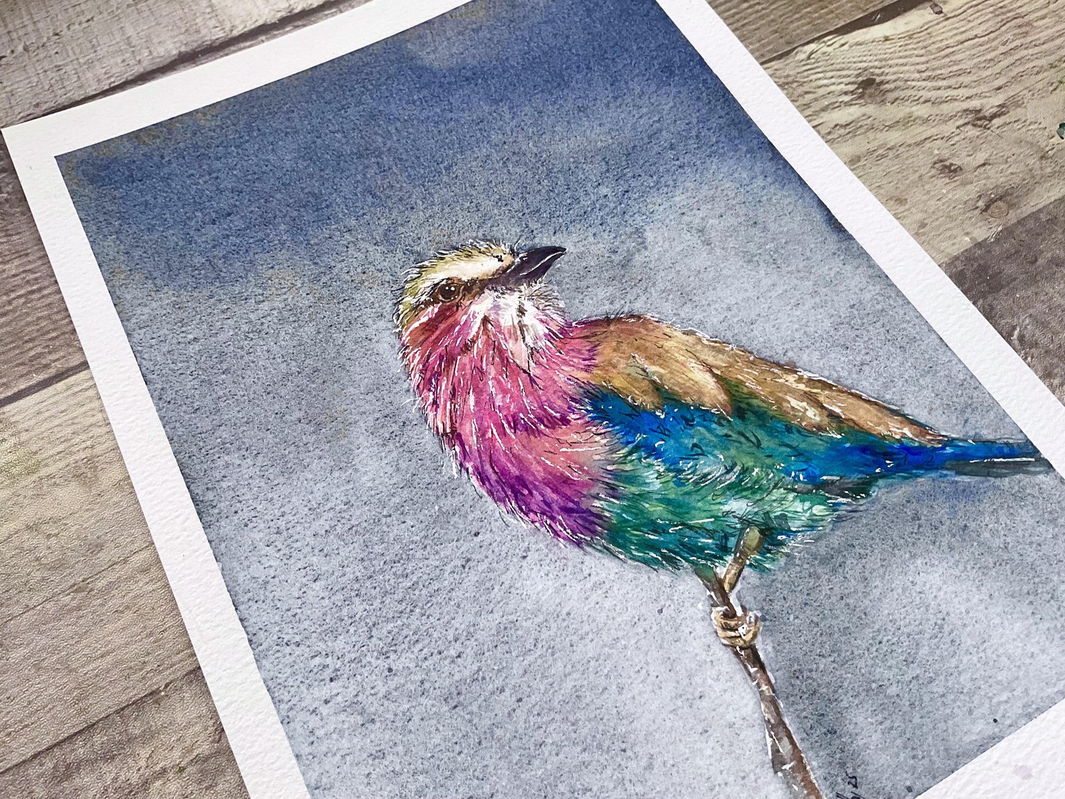 Layered wash watercolour bird. - image 1 - student project