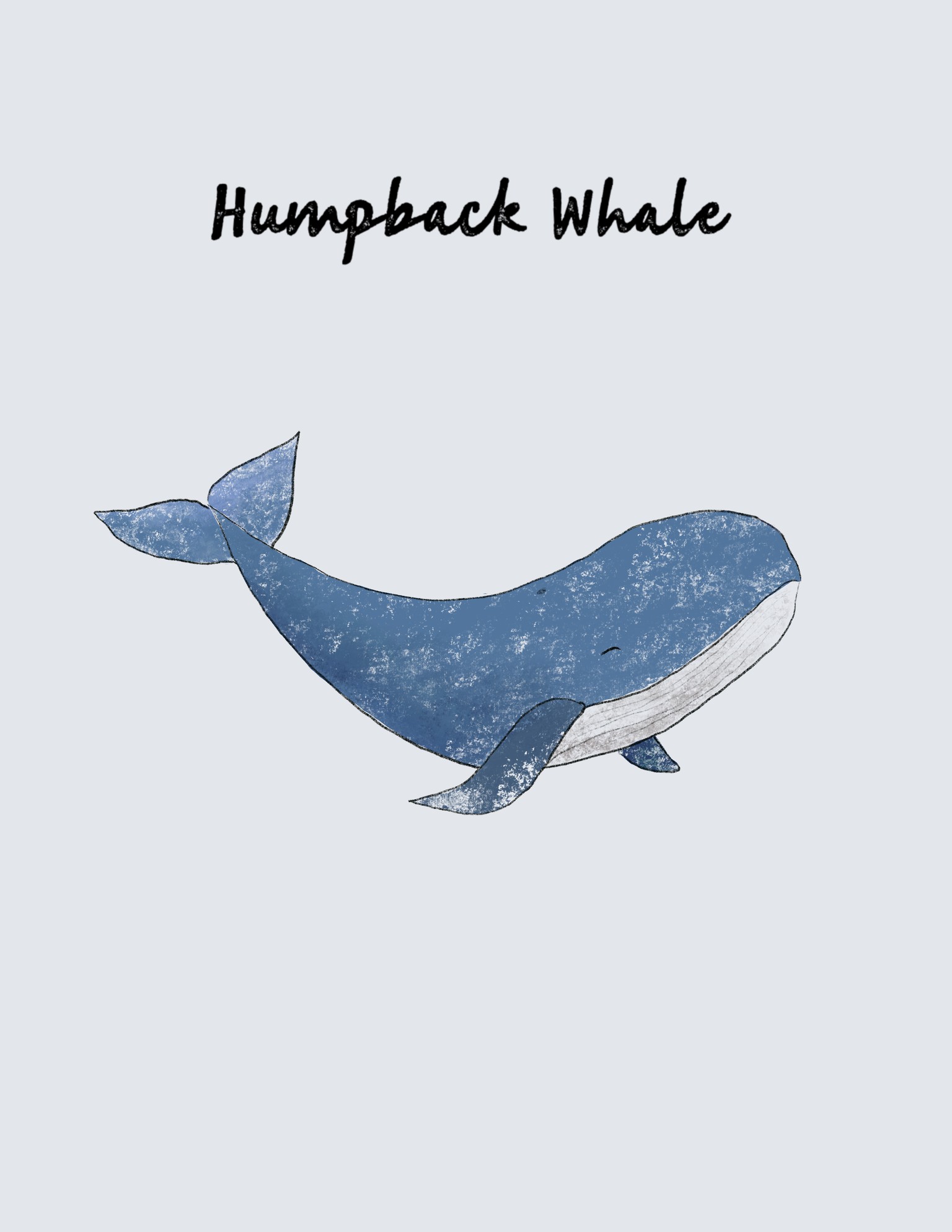 Animal Prompts - image 1 - student project