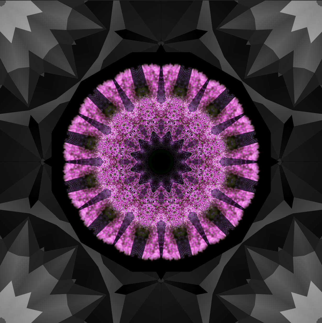 Kaleidoscope - image 1 - student project