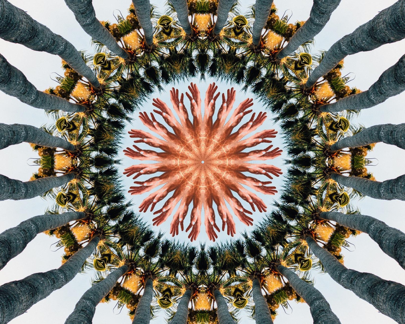 Kaleidoscope - image 2 - student project