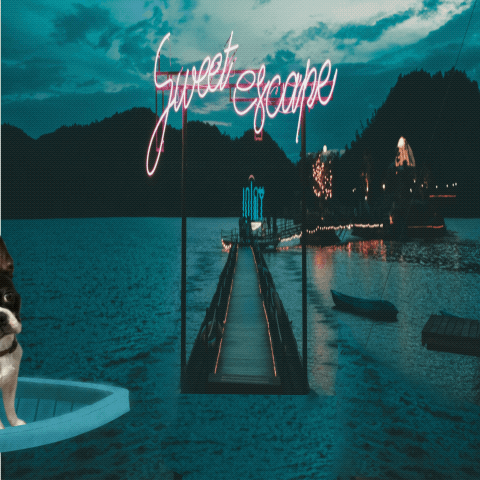 Fun GIFs - image 3 - student project