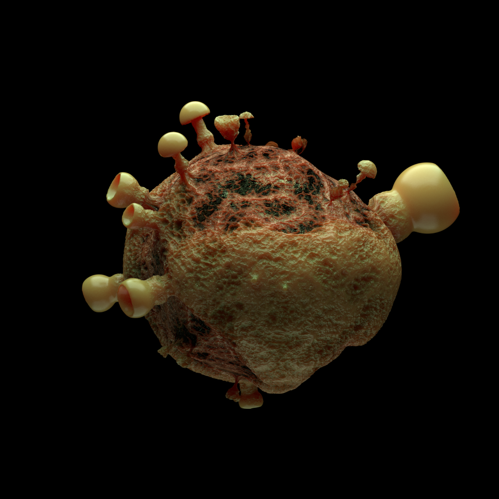 Rotten Organic - image 1 - student project
