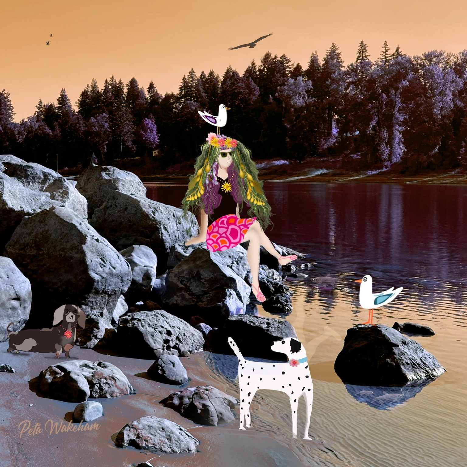 Using photo for background - image 1 - student project
