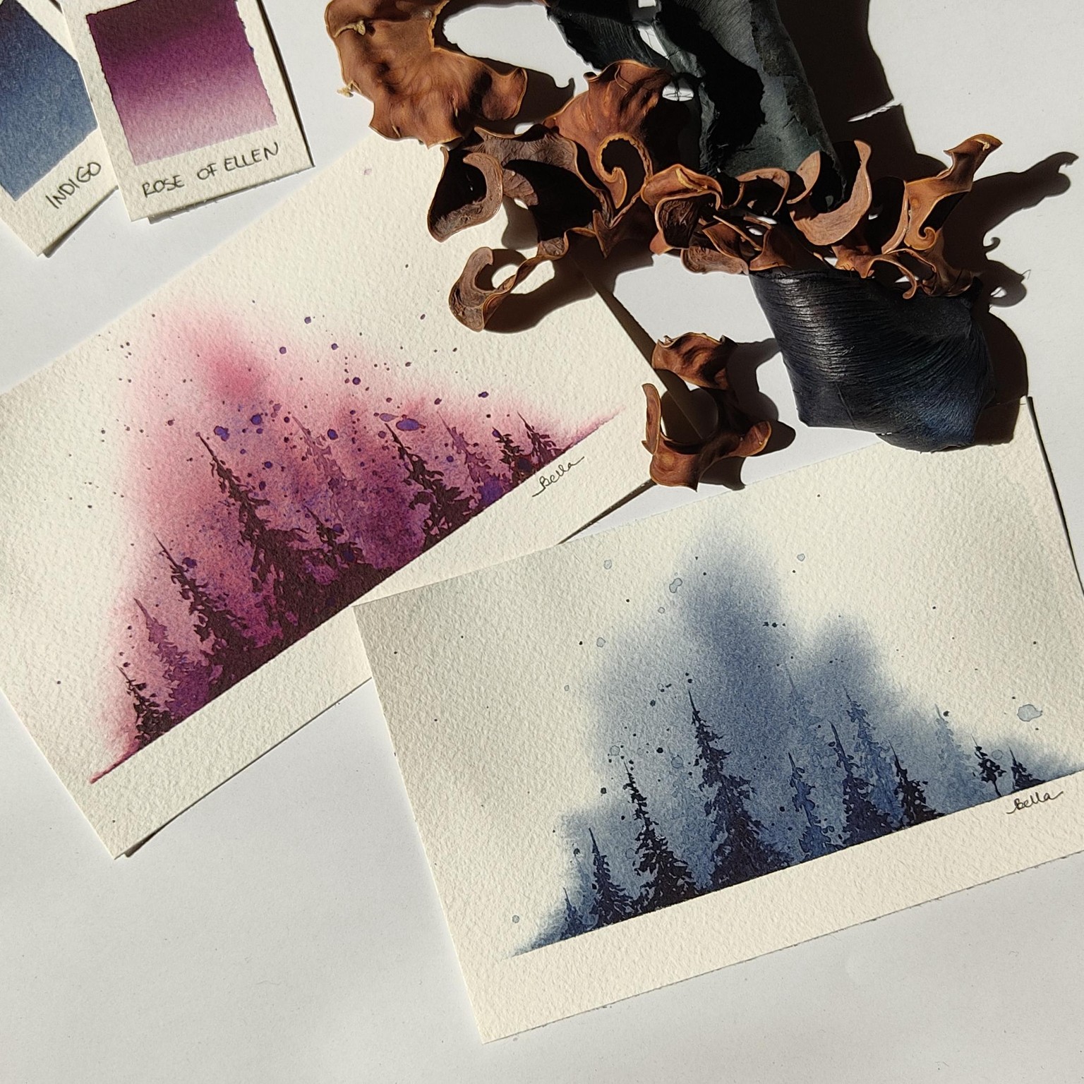 Exploring Splashes - image 1 - student project