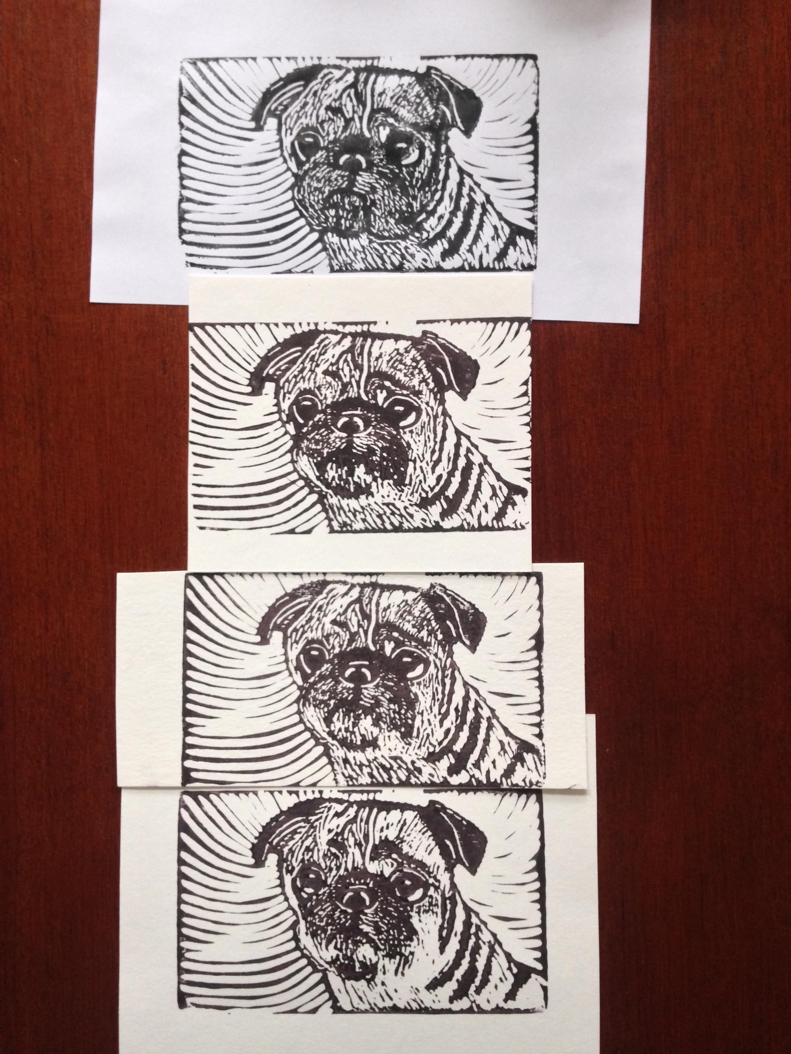 Pack of Pug Postcards - image 4 - student project