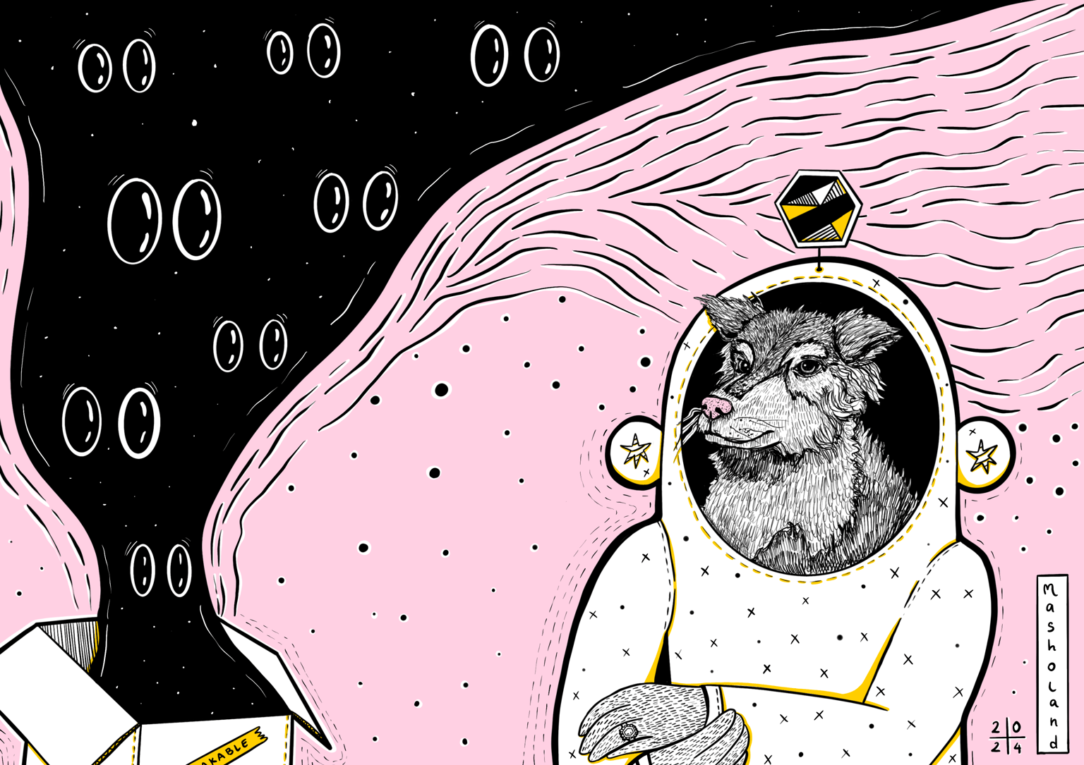 A Dog With a Secret - image 8 - student project