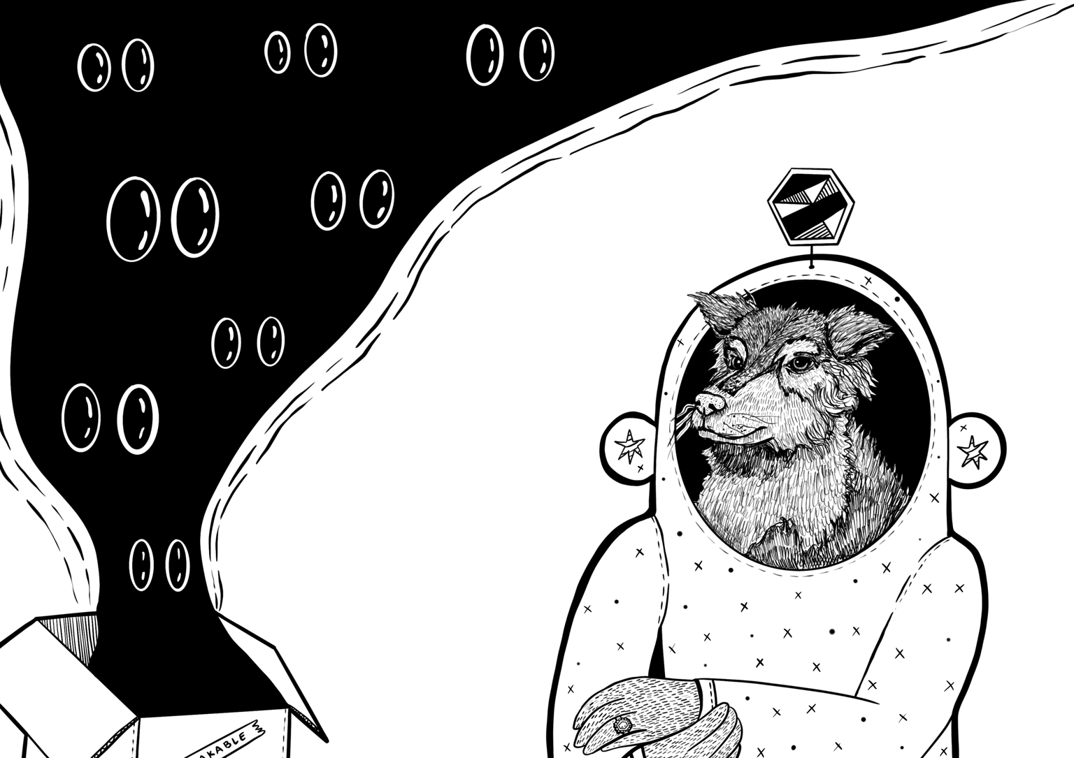 A Dog With a Secret - image 7 - student project