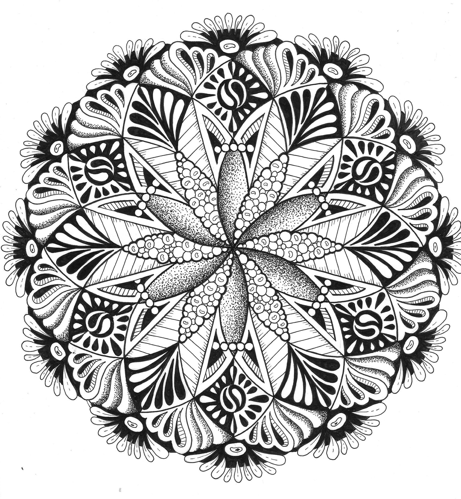 Sample Project - image 2 - student project