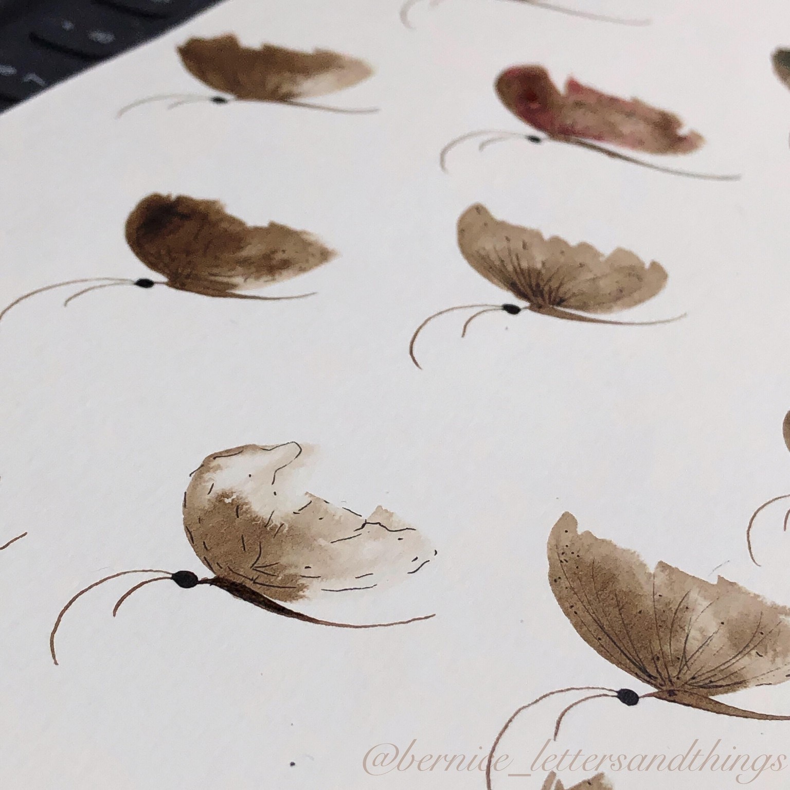 Butterflies - image 3 - student project