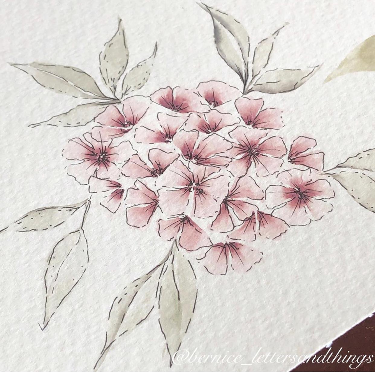 Watercolor floral stems - image 1 - student project