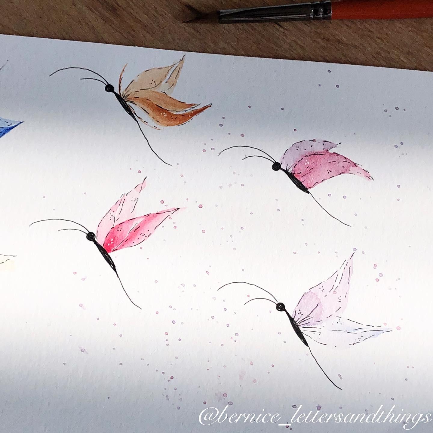 Butterflies - image 5 - student project