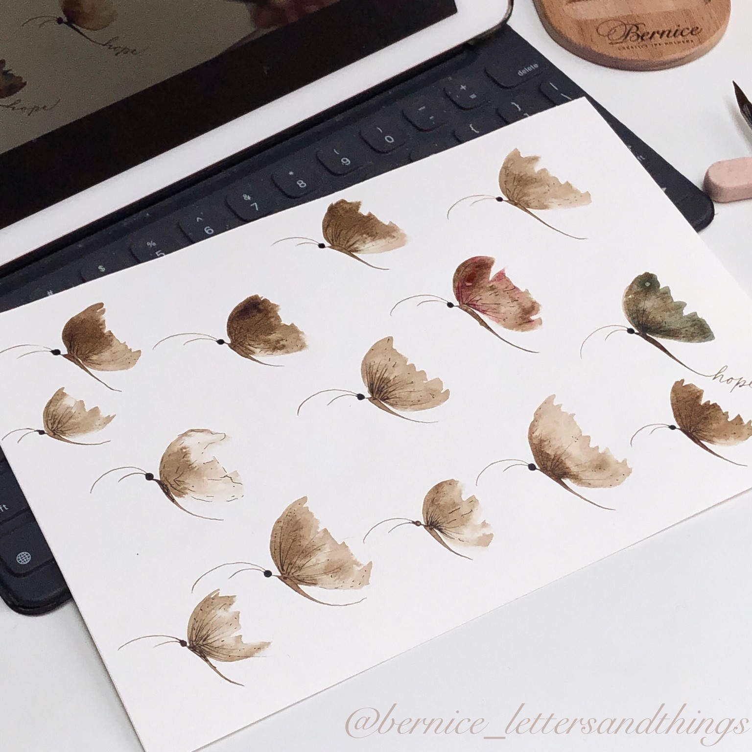 Butterflies - image 2 - student project