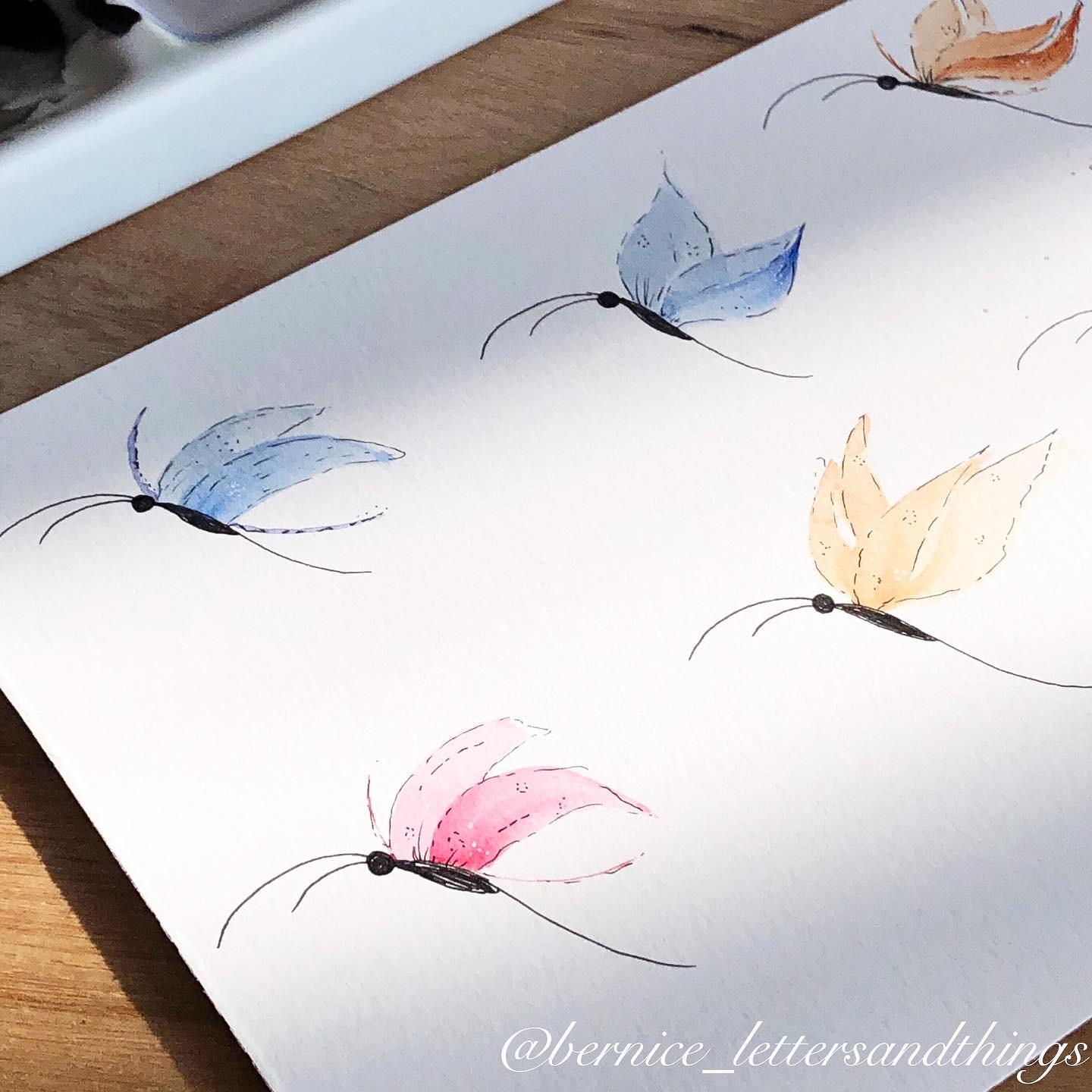 Butterflies - image 6 - student project
