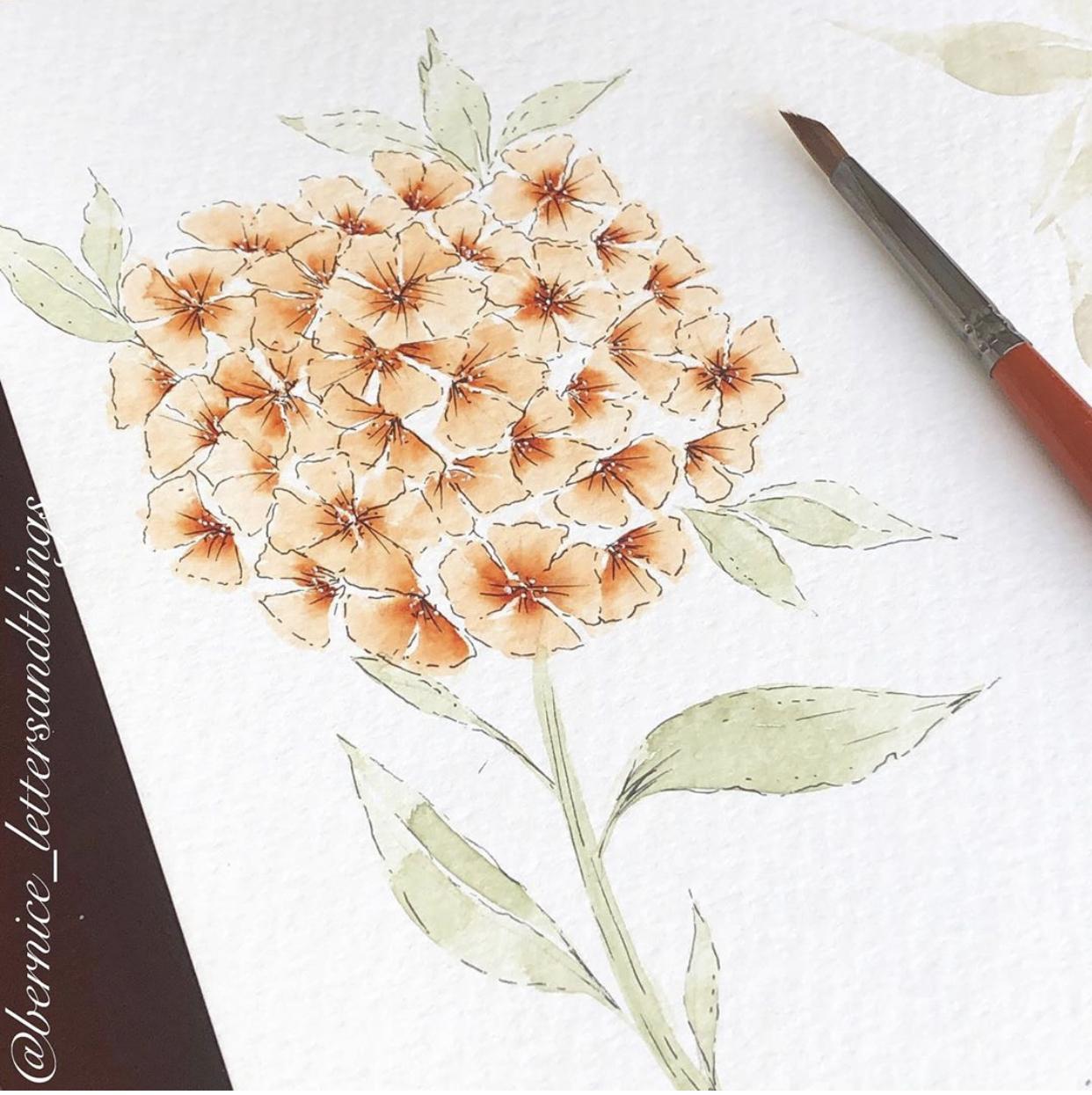 Watercolor floral stems - image 2 - student project