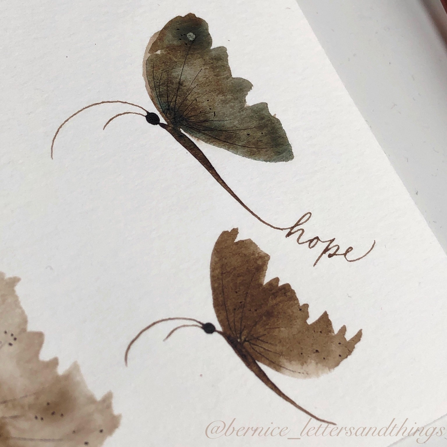 Butterflies - image 1 - student project