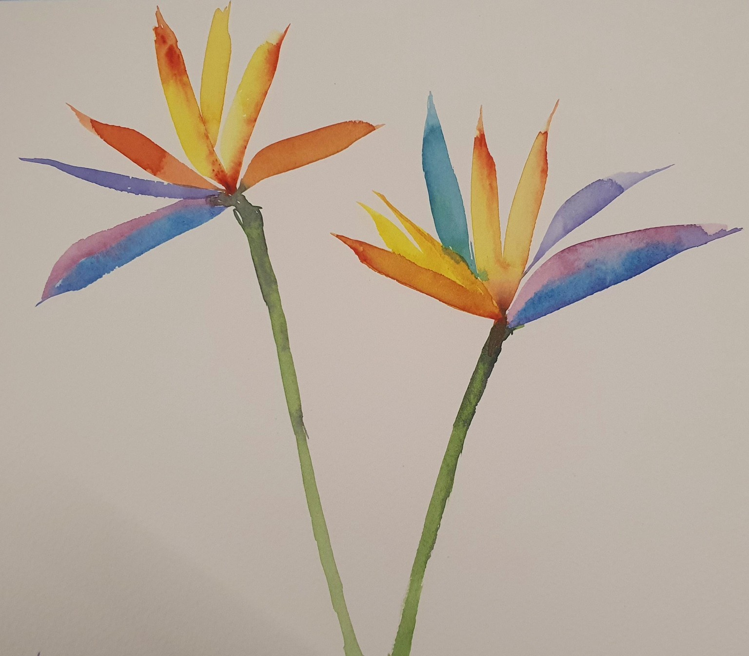 Florals using Dagger Brush - image 3 - student project