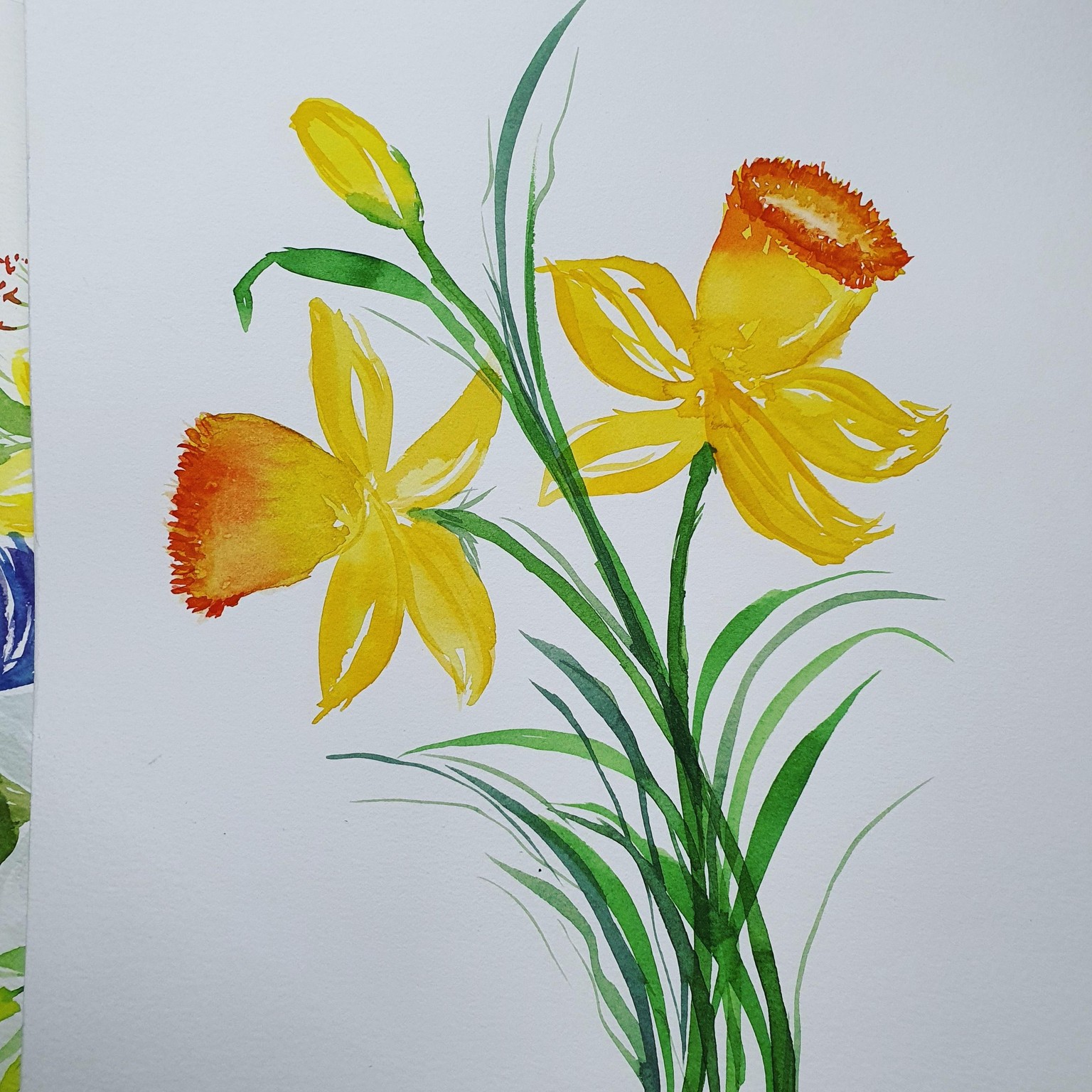 Daffodils - image 2 - student project