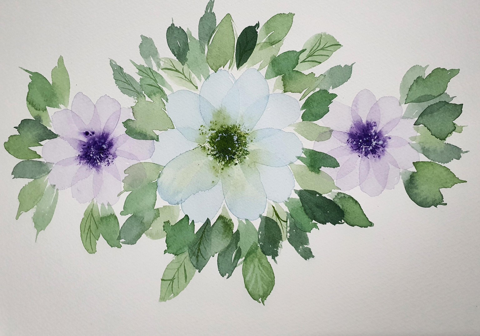 Transparent Anemones - image 1 - student project