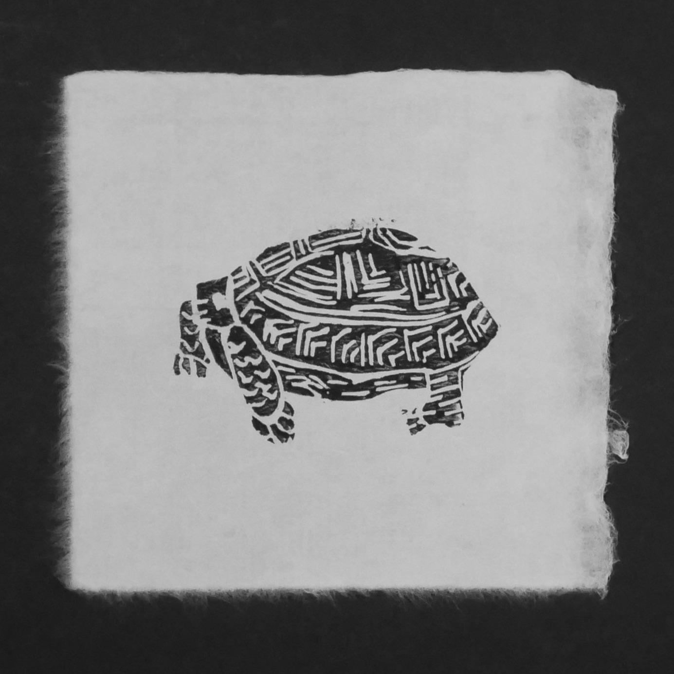 Tortilla the Tortoise - image 1 - student project