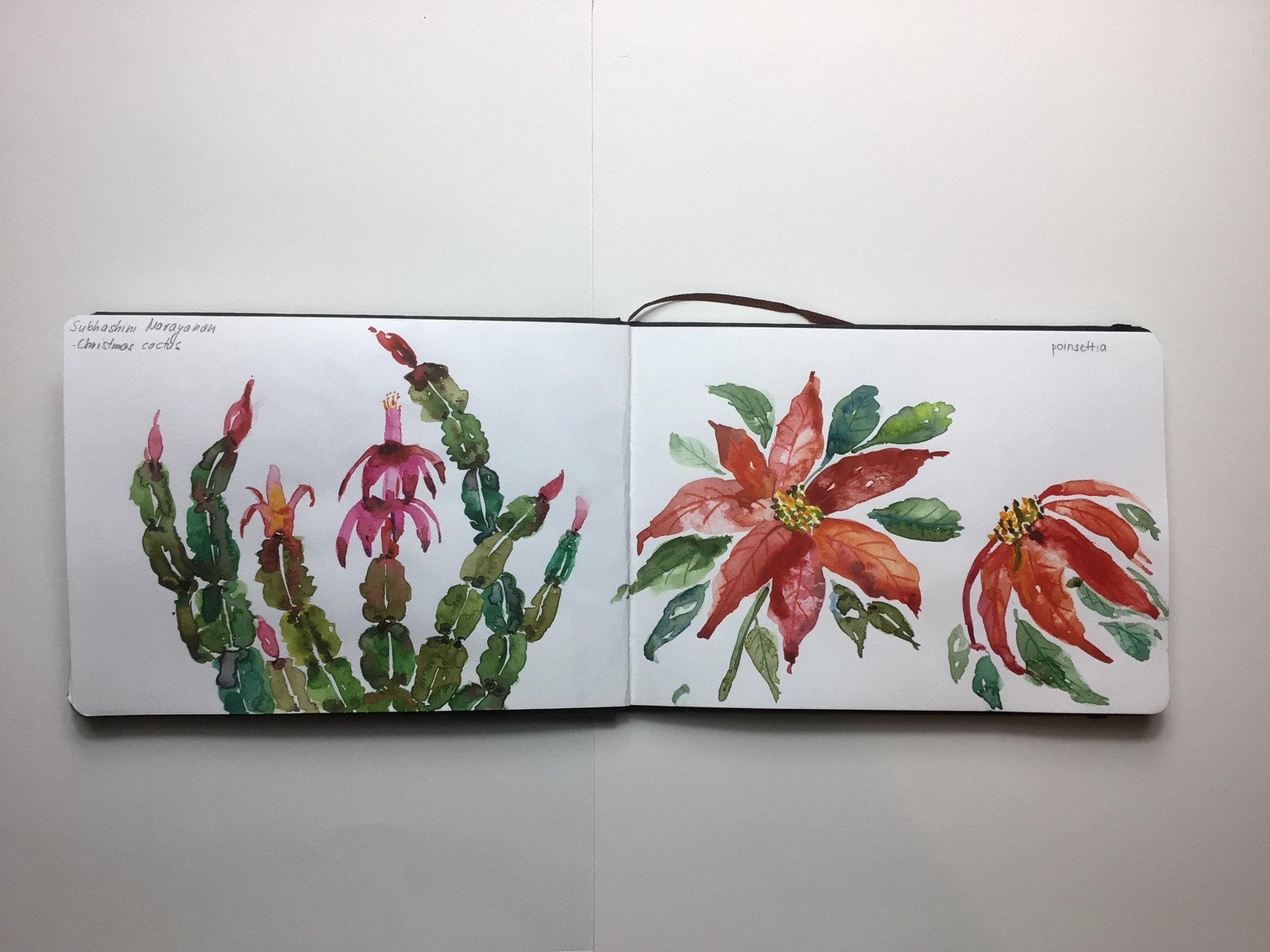 Winter Watercolor Botanicals with S. Narayanan - image 1 - student project