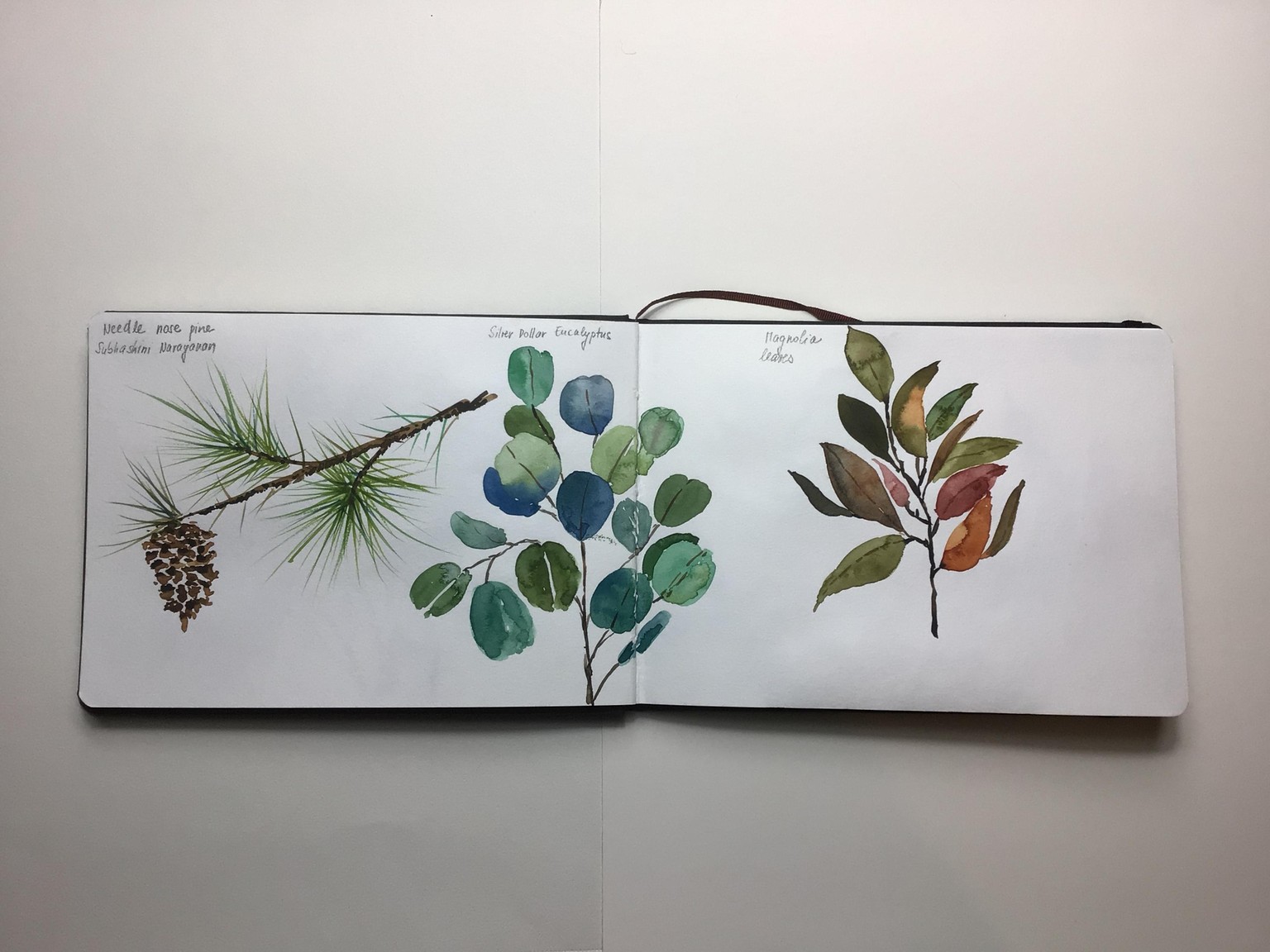 Winter Watercolor Botanicals with S. Narayanan - image 2 - student project