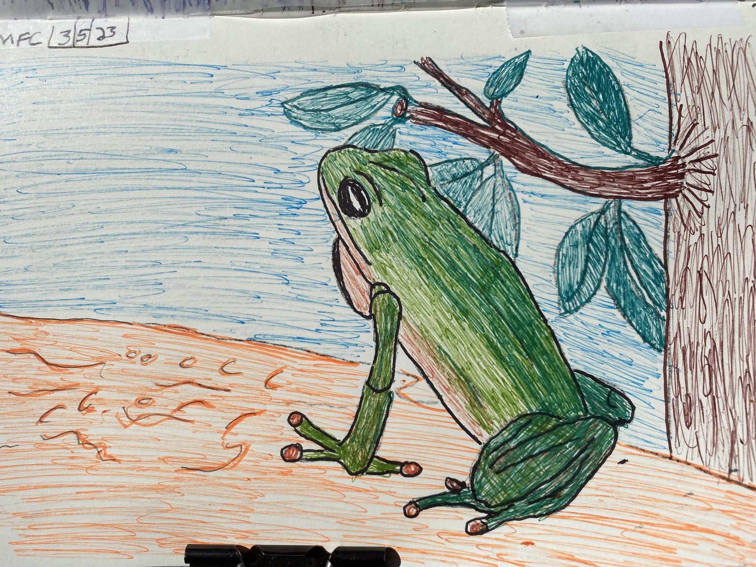 Apple and Frog - image 1 - student project