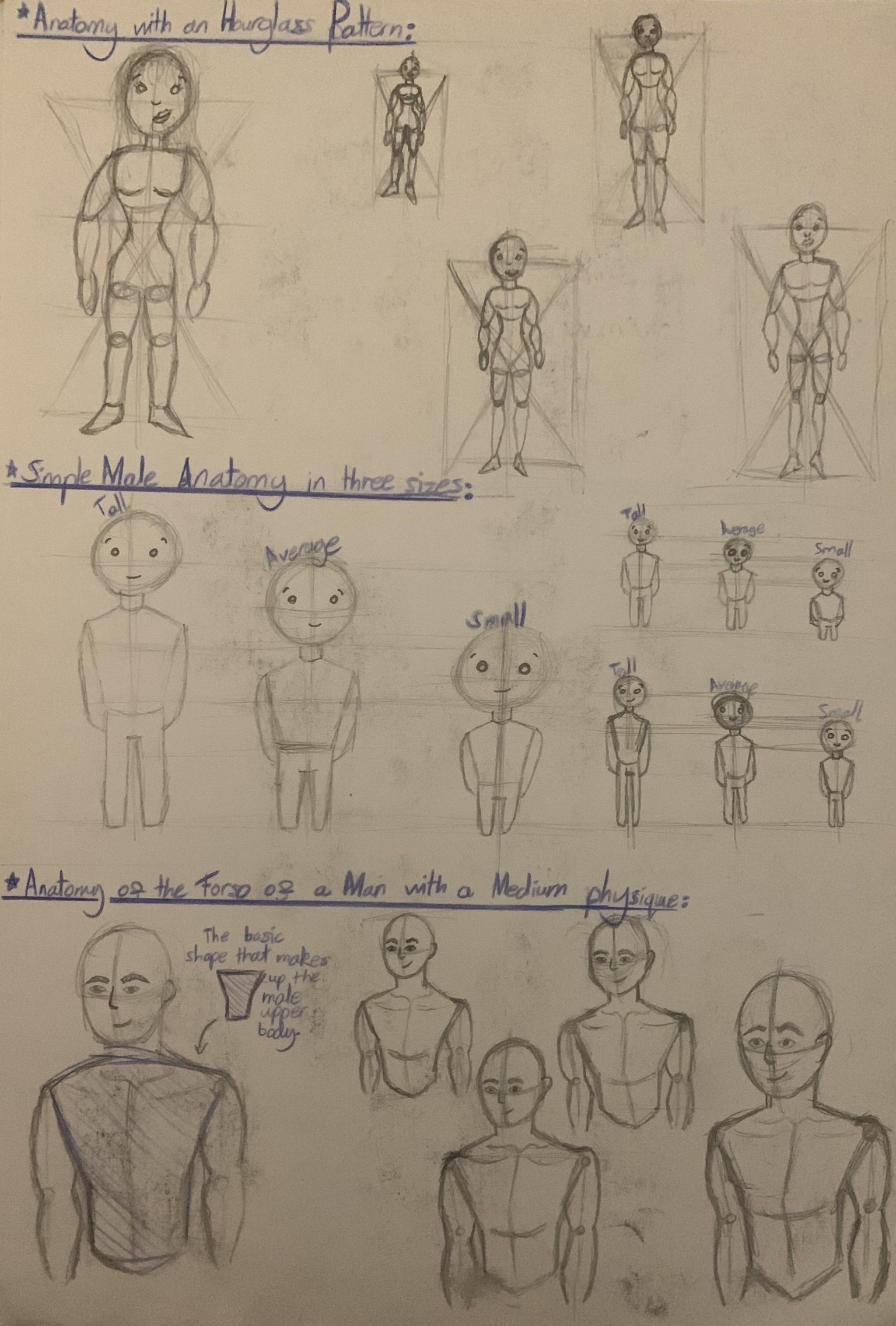Learning basic Anatomy as a beginner! - image 4 - student project