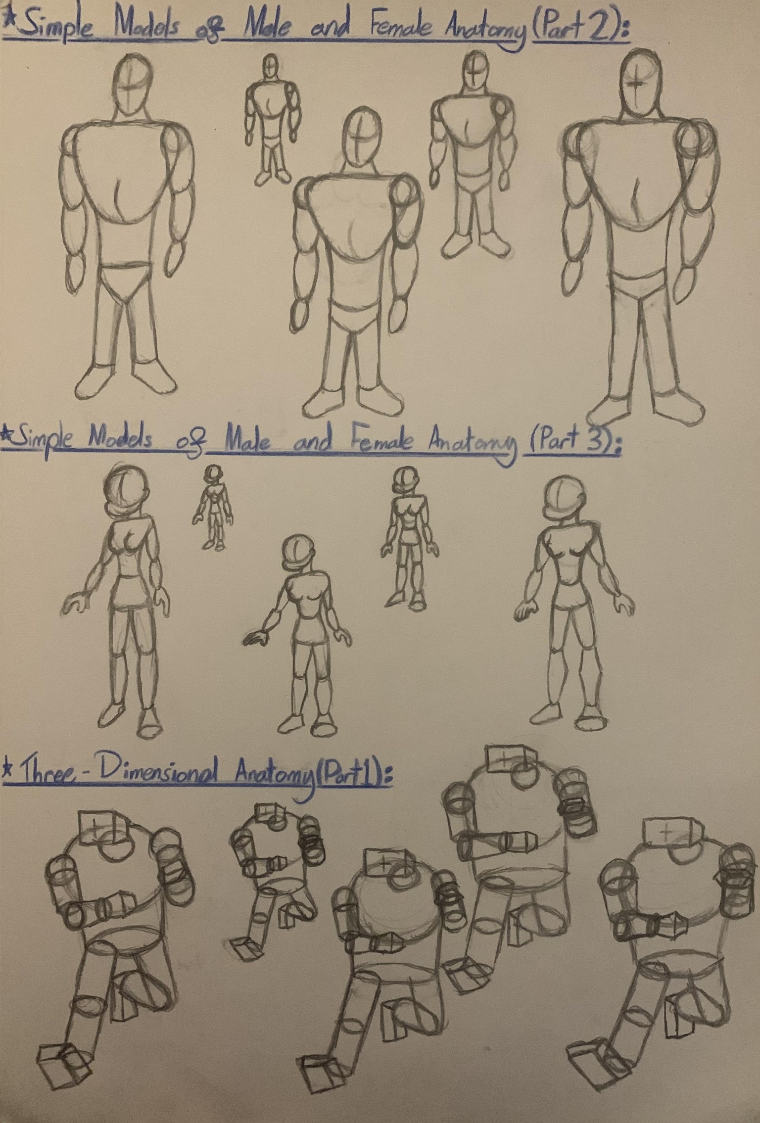 Learning basic Anatomy as a beginner! - image 10 - student project