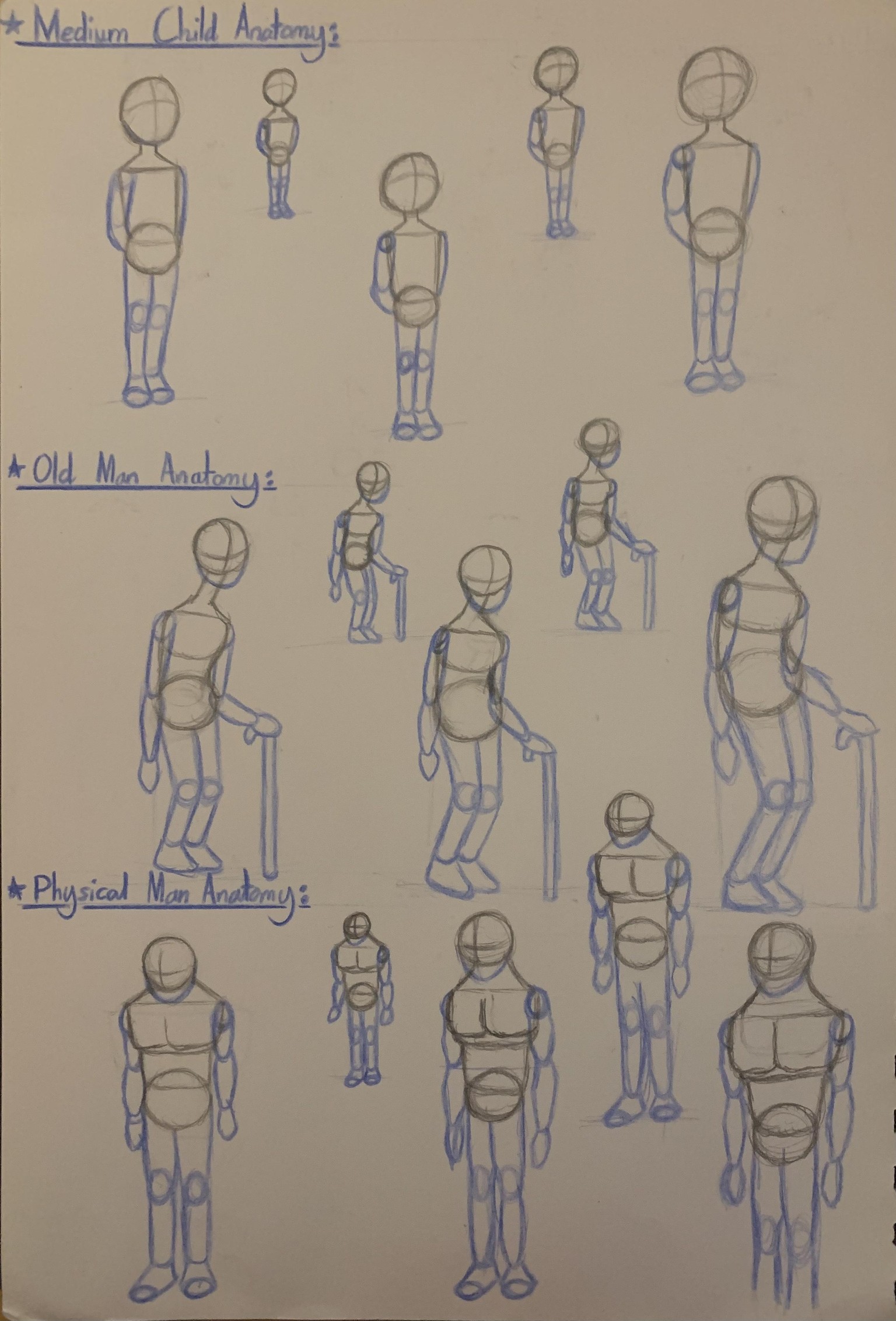 Learning basic Anatomy as a beginner! - image 12 - student project
