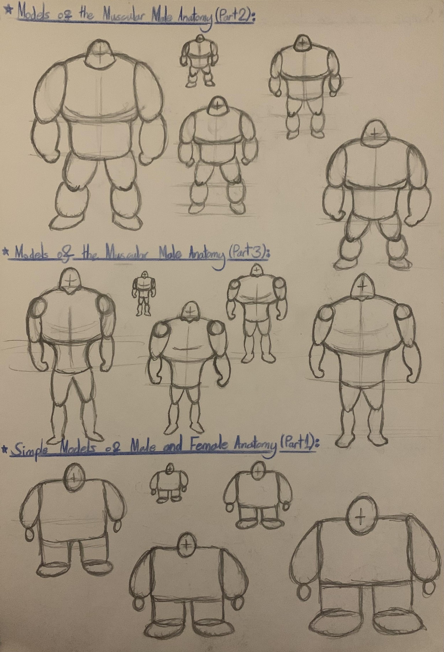 Learning basic Anatomy as a beginner! - image 9 - student project