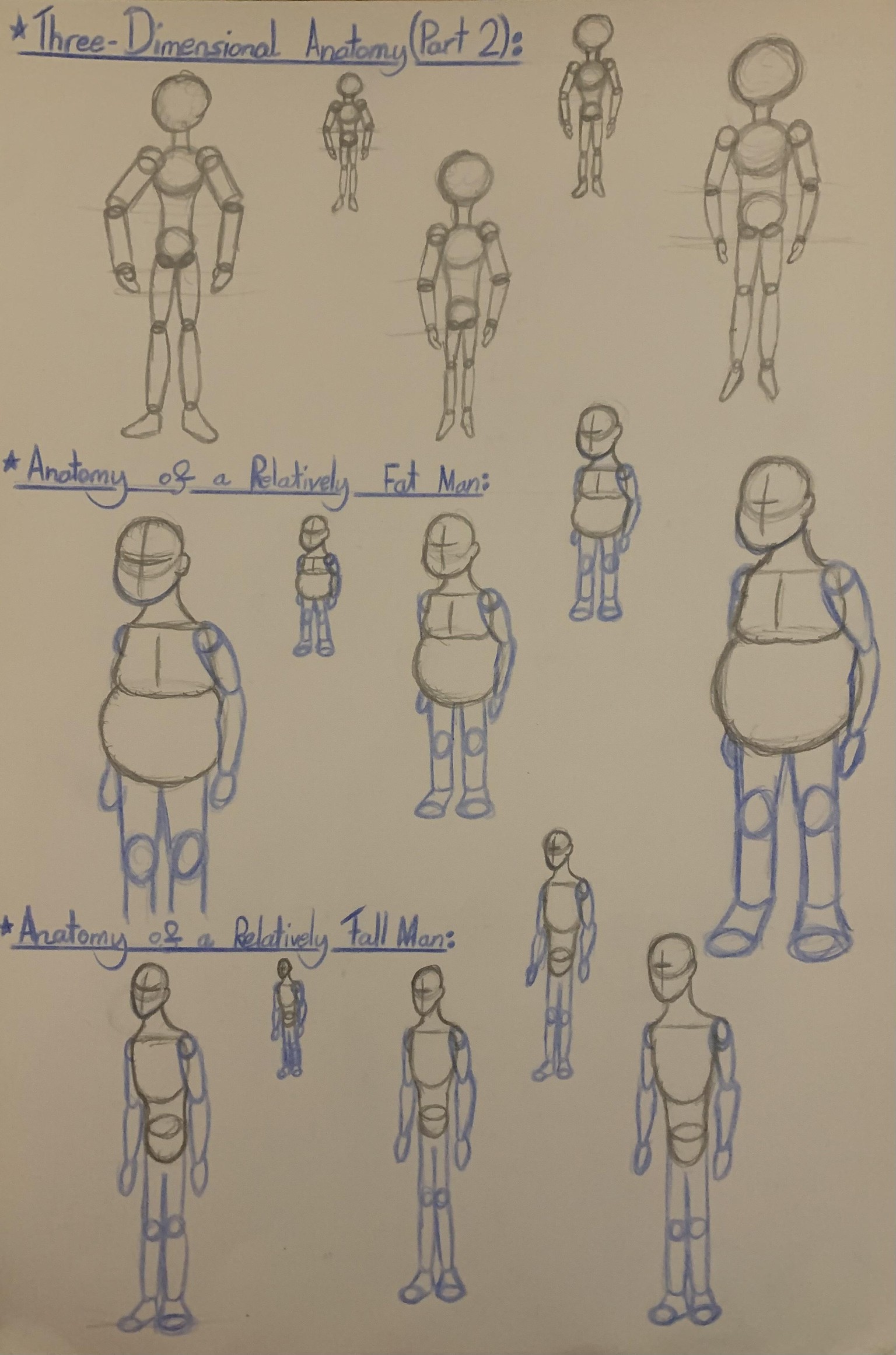 Learning basic Anatomy as a beginner! - image 11 - student project