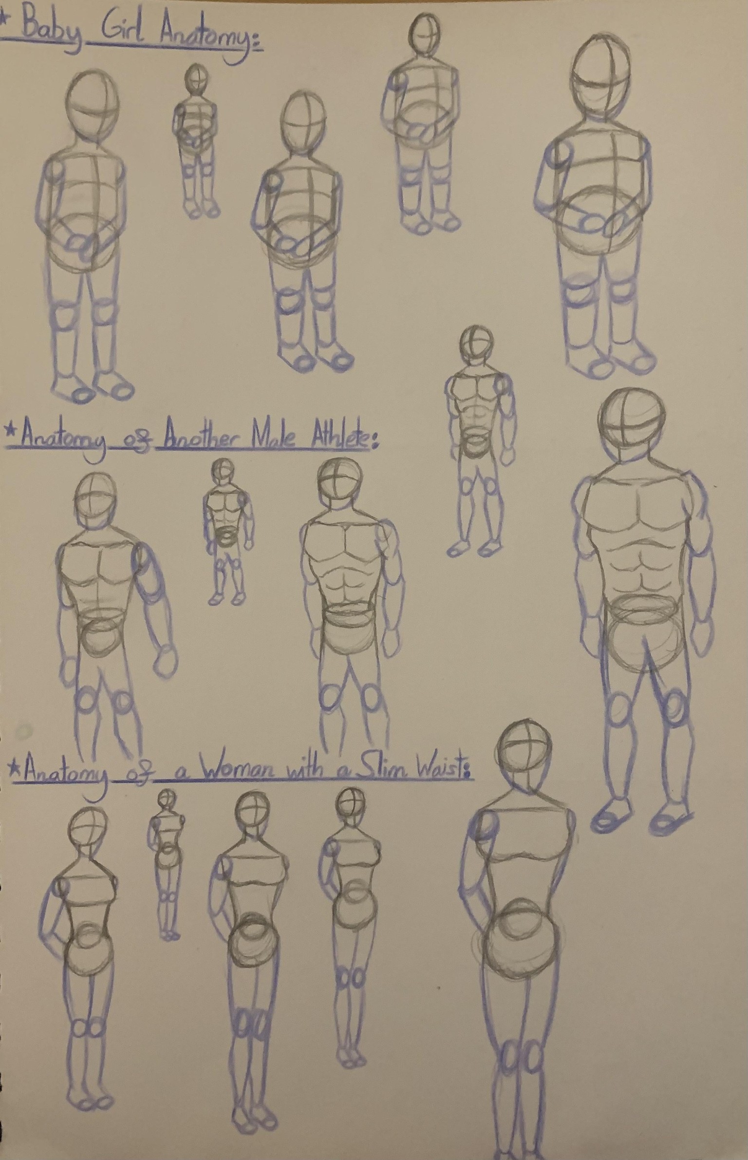 Learning basic Anatomy as a beginner! - image 15 - student project