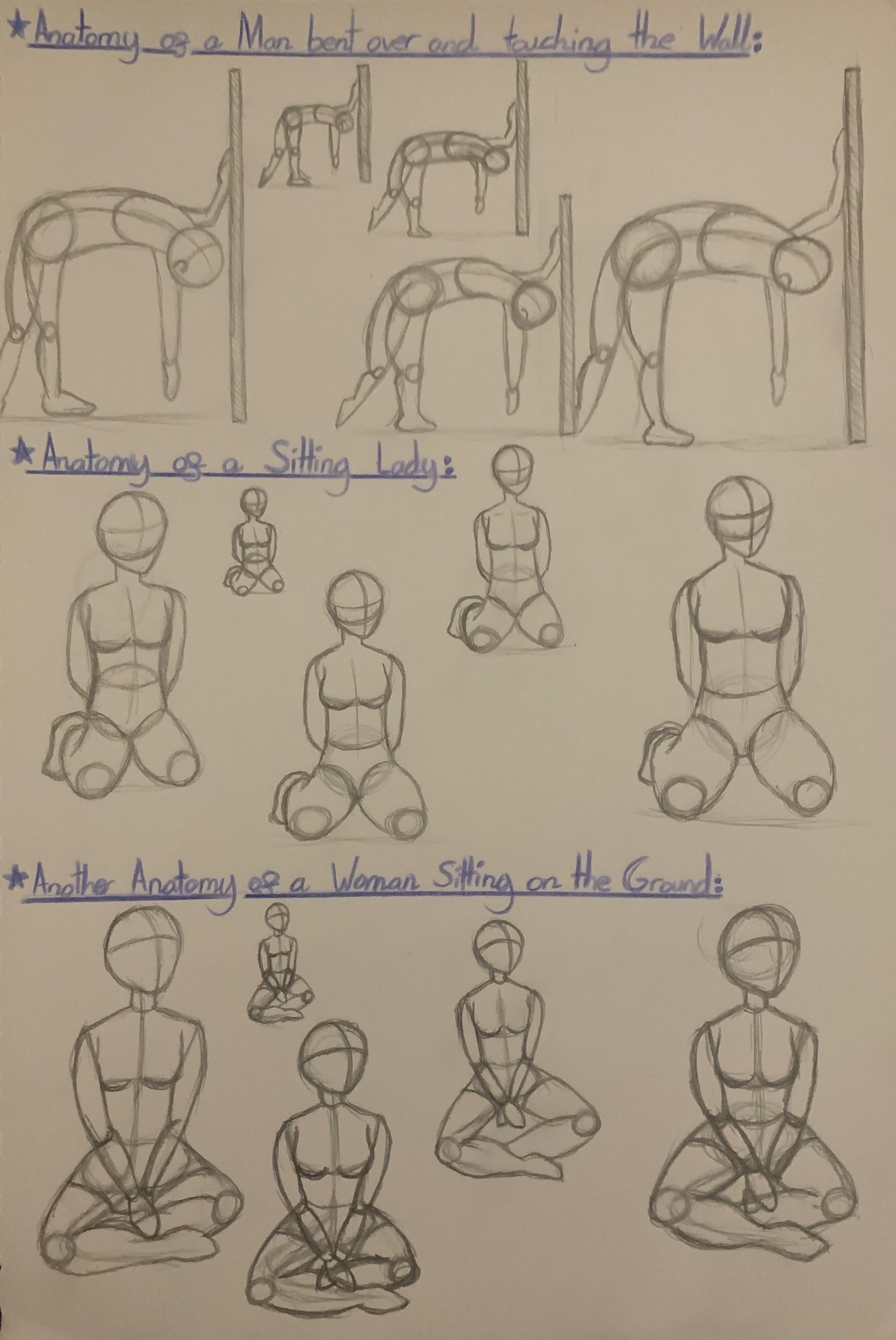 Learning basic Anatomy as a beginner! - image 17 - student project