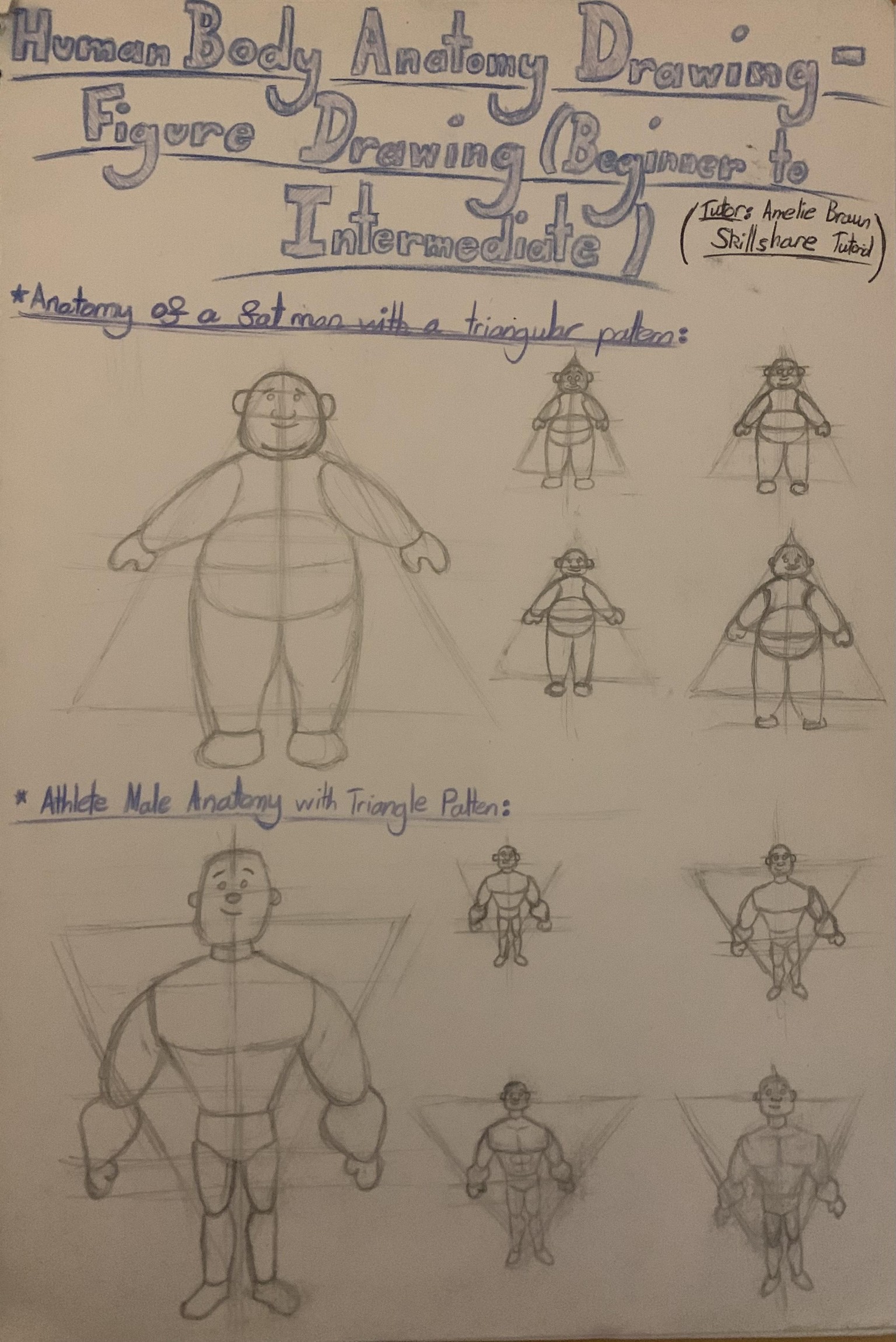Learning basic Anatomy as a beginner! - image 1 - student project