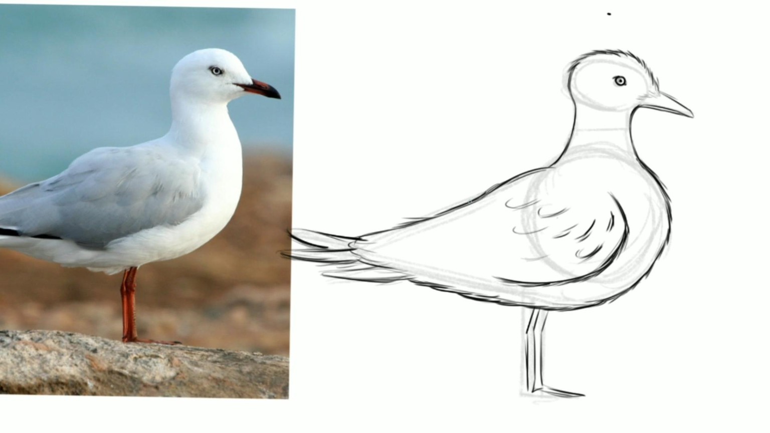 How to Draw Anything with Basic Shapes - image 1 - student project