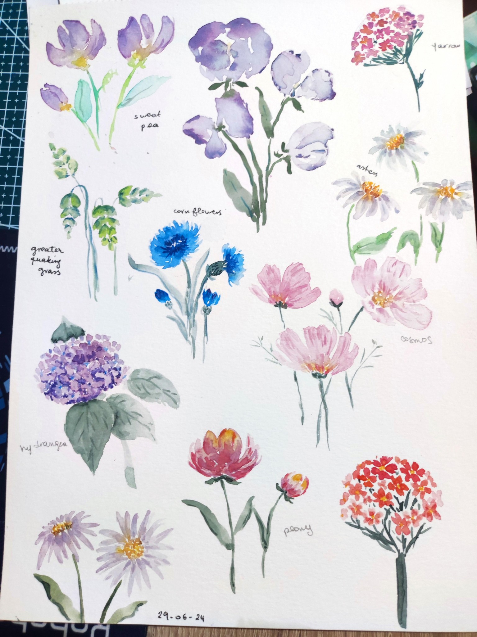 8 Summer Flowers in Watercolor - image 1 - student project