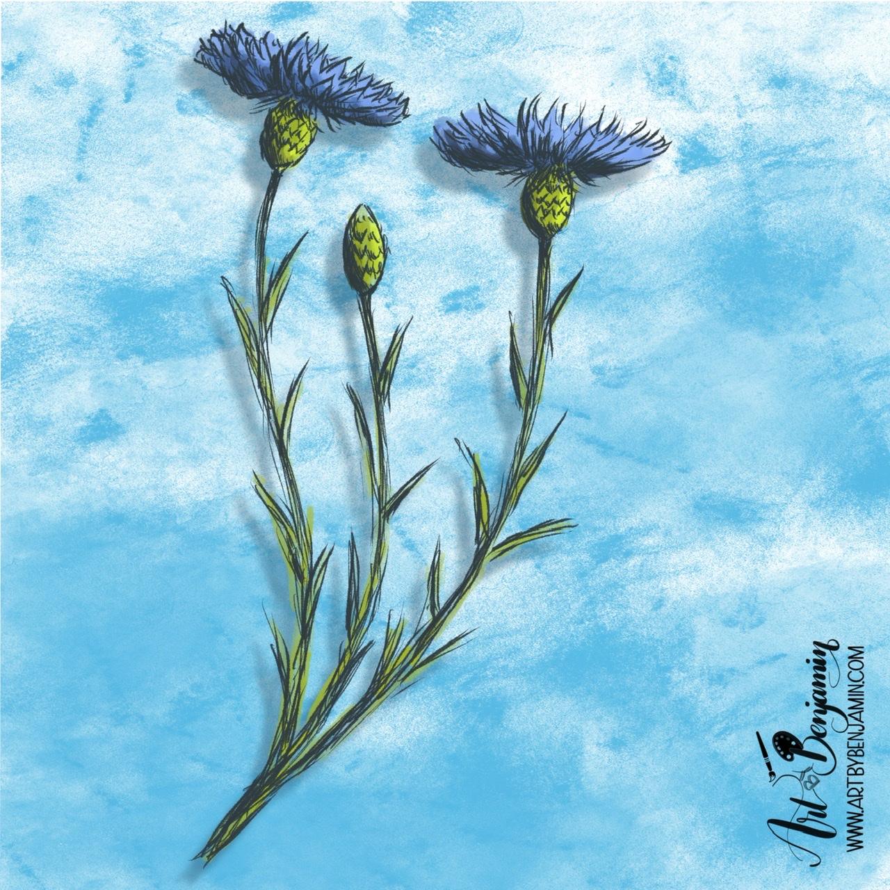 The one I did….. - image 1 - student project