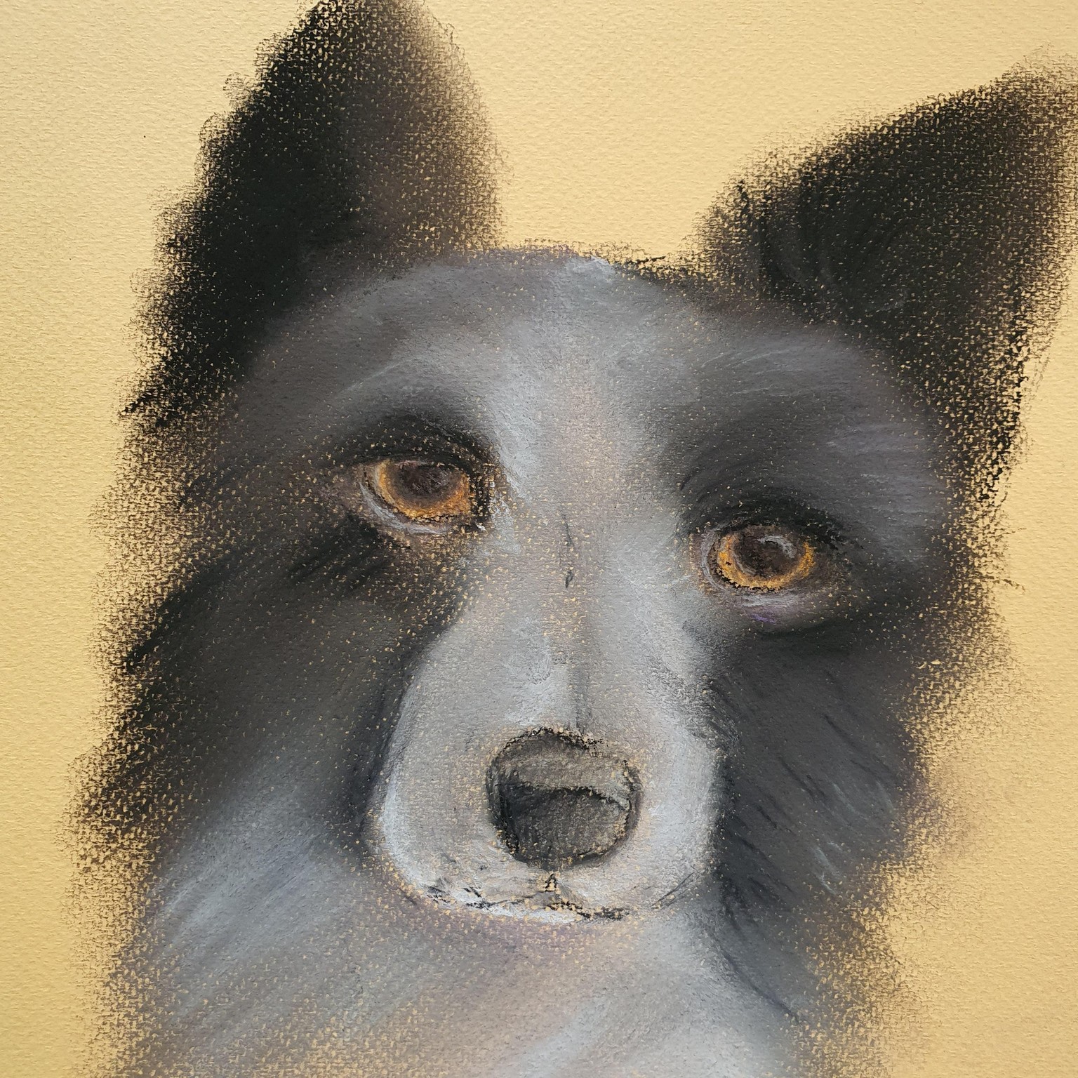 Soft Pastel Dog - image 1 - student project