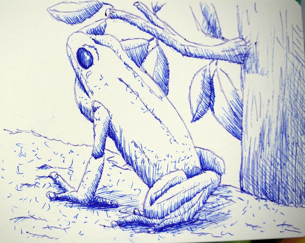 A fun and cute little Extra - image 1 - student project