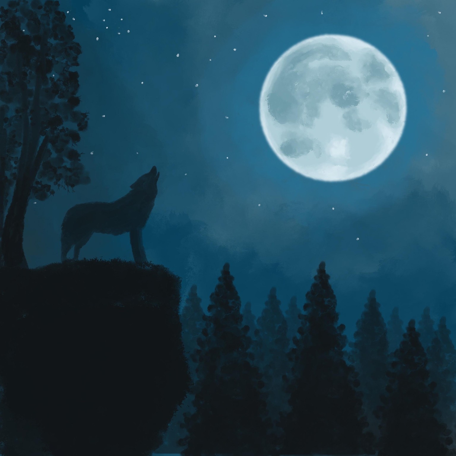 The Call of the Wild - image 1 - student project